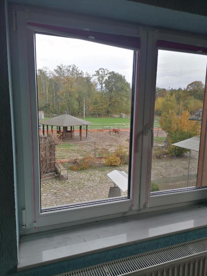 Weidmannsruh Apartment Fuer 2 Bis 3 Personen Frauendorf  Eksteriør bilde